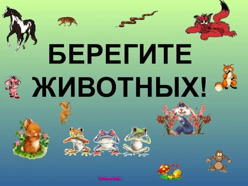 Картинка берегите животных для детей Берегите питомцев - найдено 89 картинок
