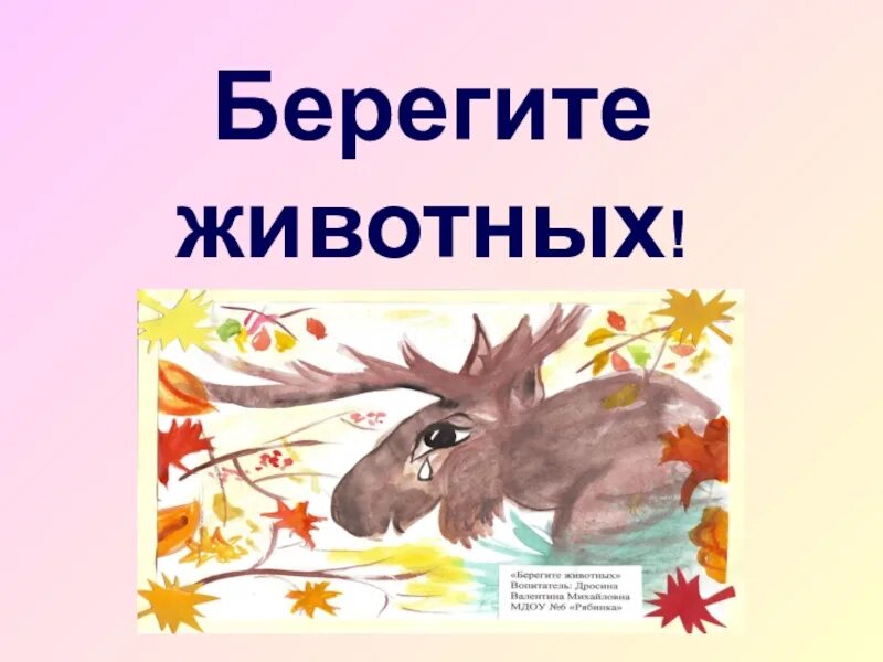 Картинка берегите животных для детей Береги животных детям