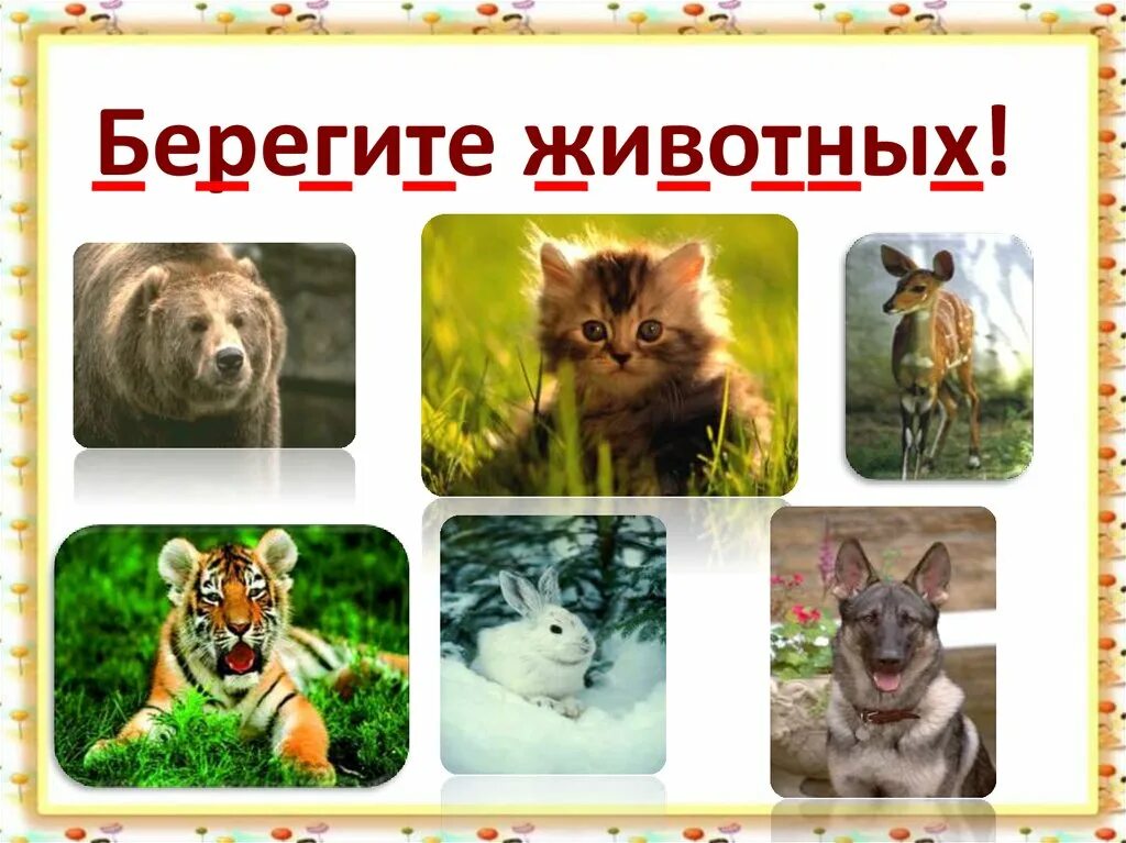Картинка берегите животных для детей Фотоотчёт "Всемирный день животных" (04.10.2023). Воспитателям детских садов, шк