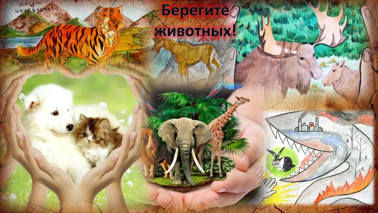 Картинка берегите животных для детей redaktor - Страница 2031 - Интернет-проект "МЫ ВМЕСТЕ"