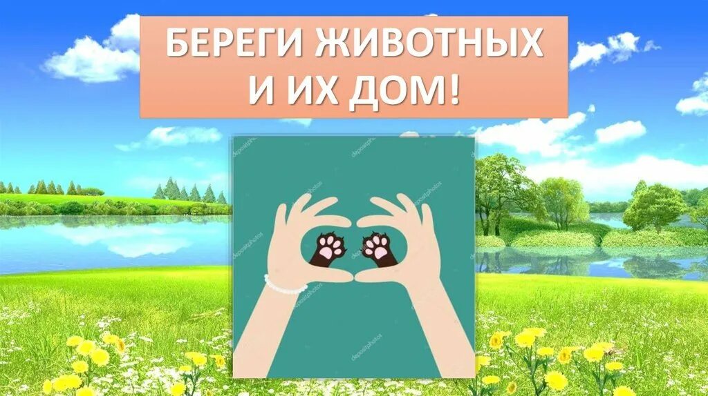 Картинка берегите животных для детей Книжка берегите животных - найдено 87 фото