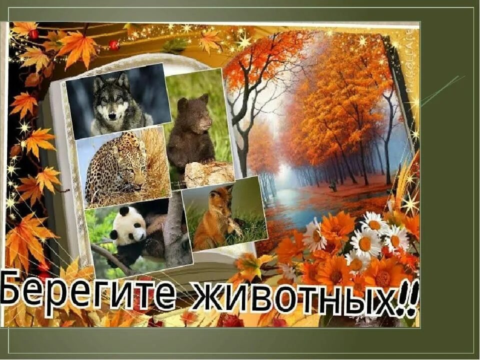 Картинка берегите животных для детей Тематическая беседа "Береги животных" 2021, Черноярский район - дата и место про