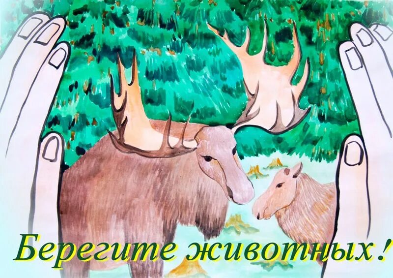 Картинка берегите животных для детей Рисунки защитим животных вместе. Международный день животных
