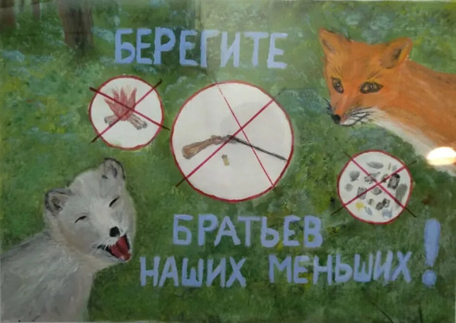 Картинка берегите животных для детей Картинки ЛОЗУНГ БЕРЕГИТЕ ЖИВОТНЫХ
