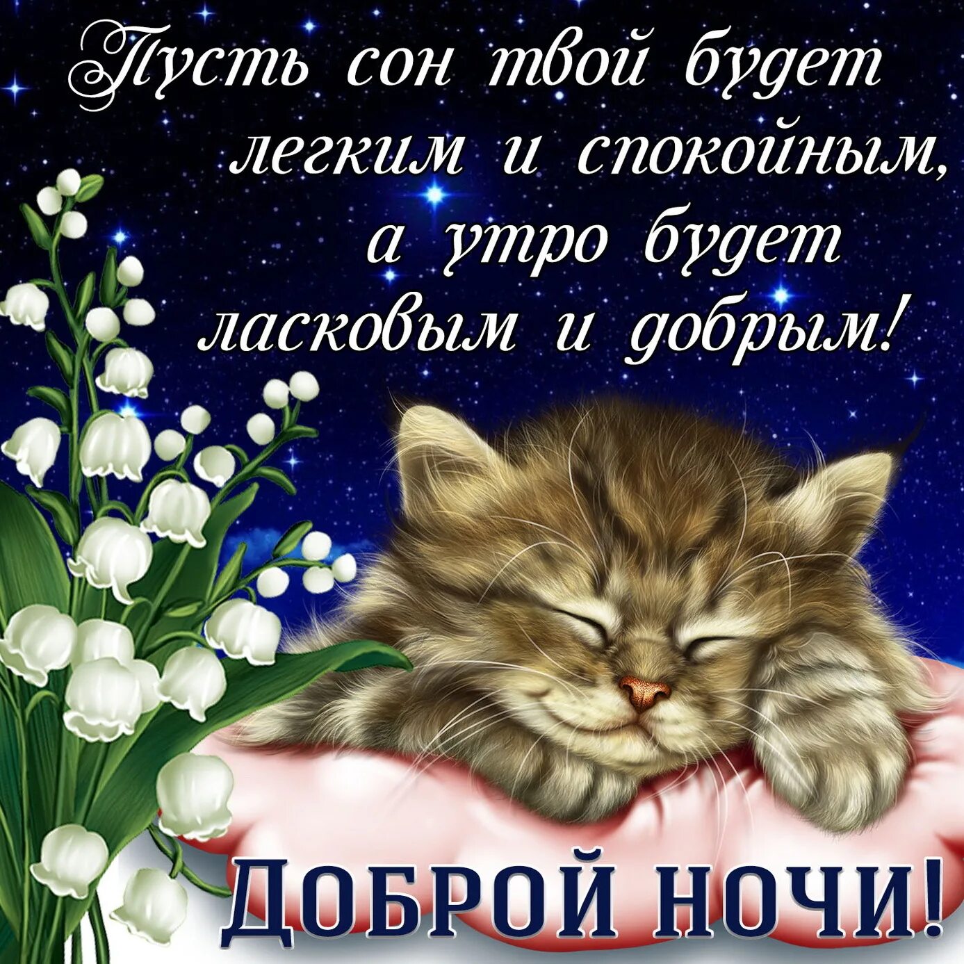 Картинка бесплатно с пожеланием доброй ночи Картинка со спящим котиком и пожеланием доброй ночи