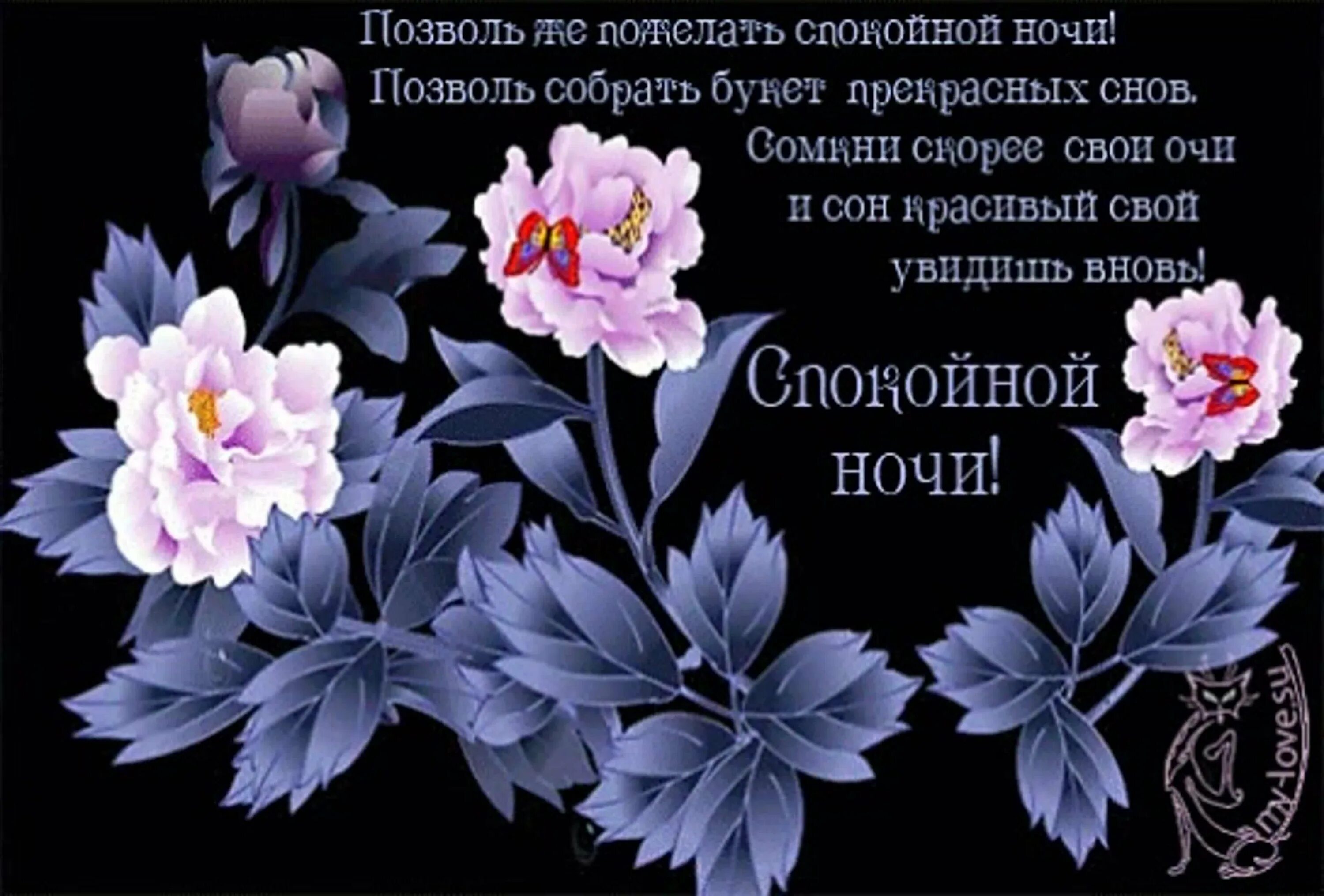 Картинка бесплатно с пожеланием доброй ночи Пожелание спокойной ночи женщине - 77 фото - смотреть онлайн