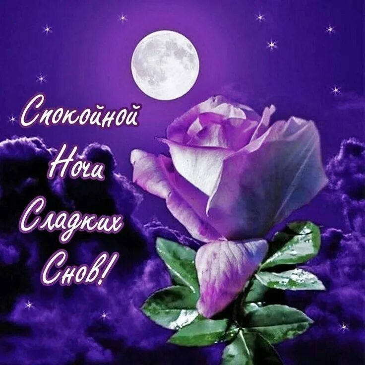 Картинка бесплатно с пожеланием доброй ночи Открытки спокойного сна, сладких снов Ночь, Спокойной ночи, Веселые картинки