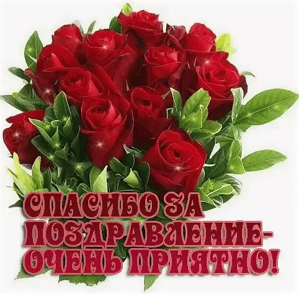 Картинка благодарность за поздравление с днем рождения Елена Пилипко Болтенко (epilipko38) - Profile Pinterest