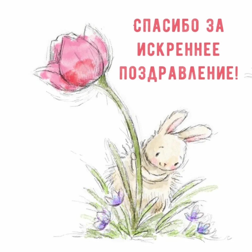 Картинка благодарность за поздравление с днем рождения Красивые картинки "Спасибо за поздравления!" (100 шт.