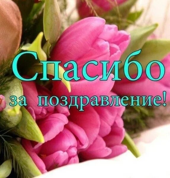 Картинка благодарность за поздравление с днем рождения Поздравляю женщин - Балаганчик, пользователь Борис Шошин Группы Мой Мир