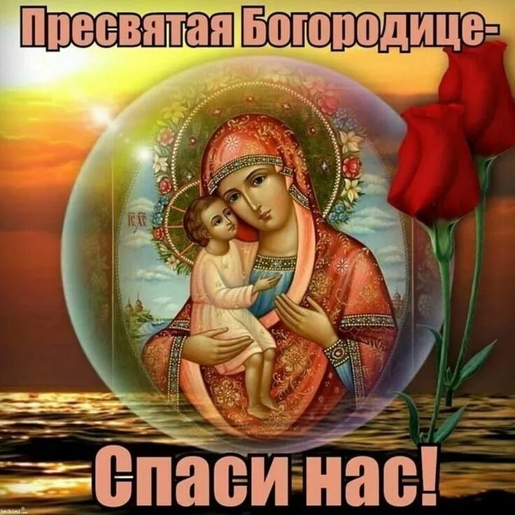 Картинка богородица спаси и сохрани Pin by Жанна on БОГОРОДИЦА Zelda characters, Fictional characters, Cards