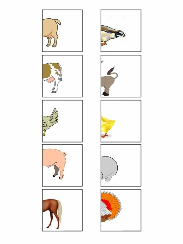 Картинка части животного для детей memory animali da stampare - Cerca con Google Animali, Attività di alfabetizzazi