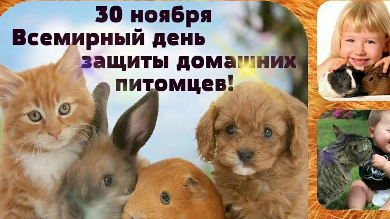 Картинка день домашних животных Всемирный день домашних животных. 30 ноября. Красивая музыкальная открытка. - Yo