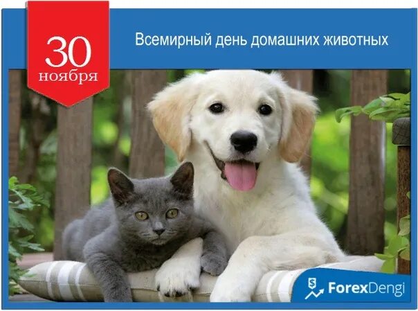 Картинка день домашних животных Мероприятия