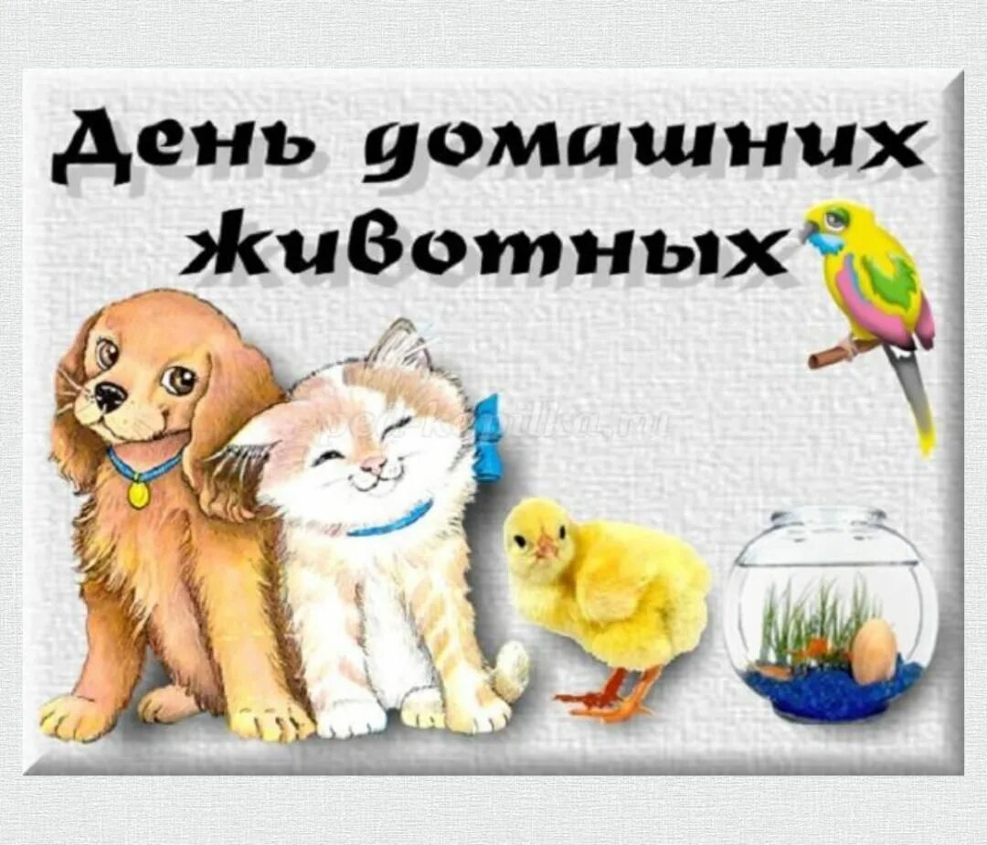 Картинка день домашних животных Беседа "Наши верные друзья" 2022, Спасский район - дата и место проведения, прог