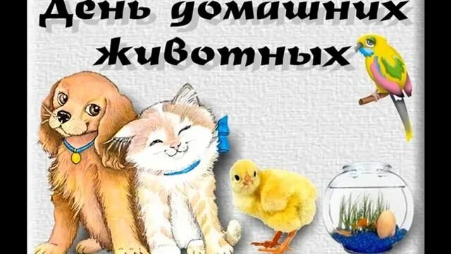 Картинка день домашних животных 30 ноября всемирный день домашних животных!! - смотреть видео онлайн от "Природа