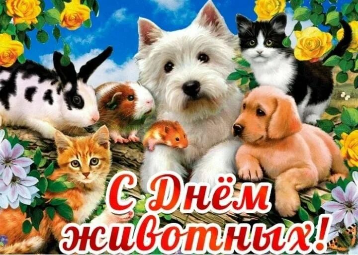 Картинка день домашних животных Любите животных"-беседа, фотоконкурс 2023, Кукморский район - дата и место прове