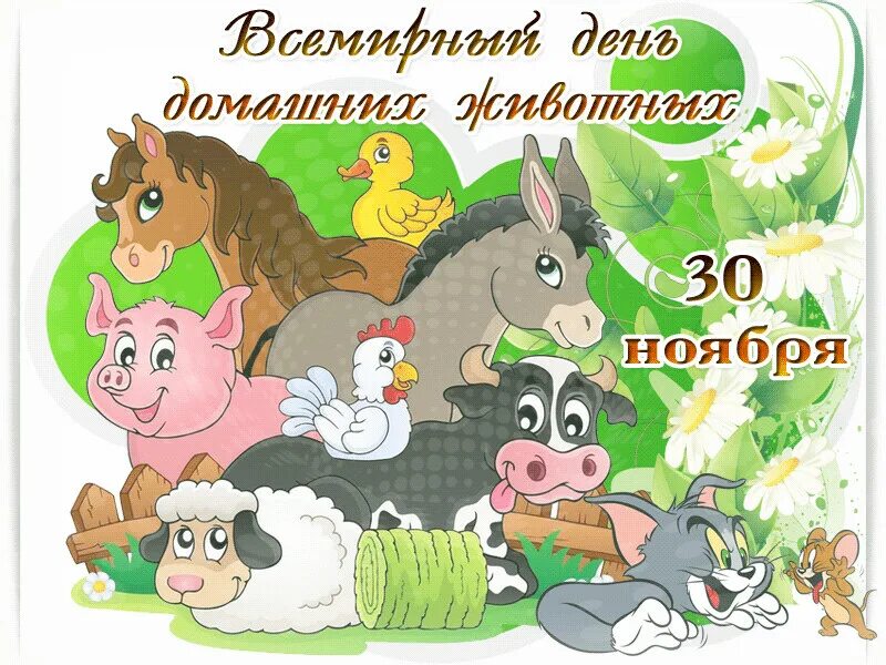 Картинка день домашних животных Комбикорма для животных. Зоотовары. - Разное OK.RU