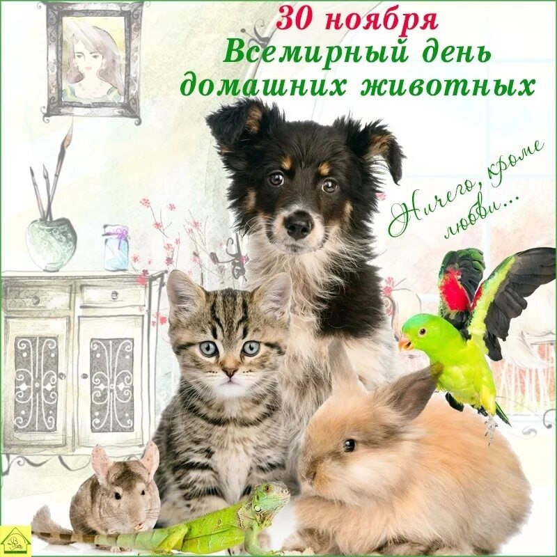Картинка день домашних животных Делитесь фотографиями своих домашних питомцев, пишите, как их зовут и интересные