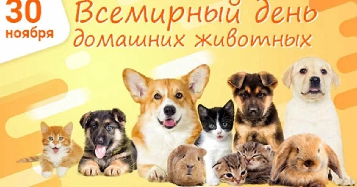 Картинка день домашних животных Познавательная беседа "Преданные нам." посвященная Всемирному дню домашних живот