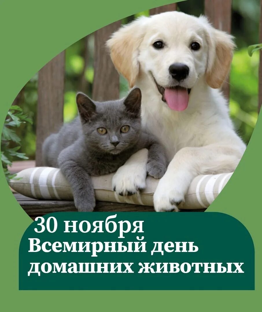 Картинка день домашних животных 30 ноября - Всемирный день домашних животных - Российская Государственная библио