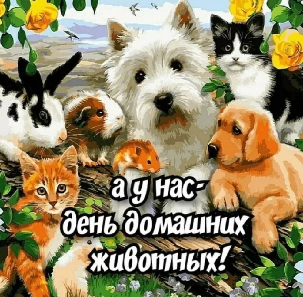 Картинка день домашних животных Муниципальное бюджетное дошкольное образовательное учреждение Детский сад № 91 г