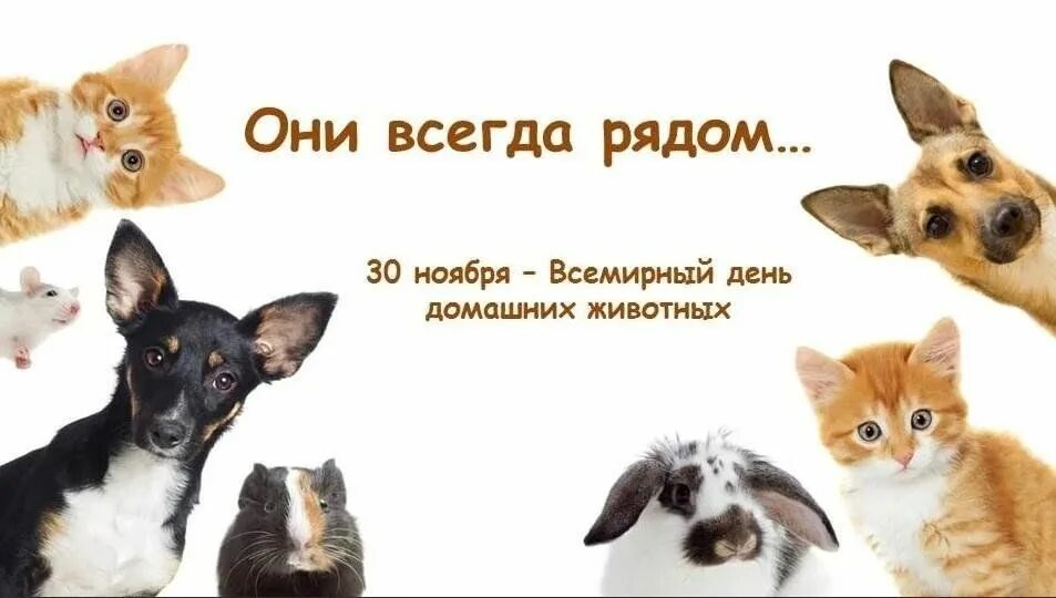 Картинка день домашних животных Любимый питомец 2023, Агрызский район - дата и место проведения, программа мероп