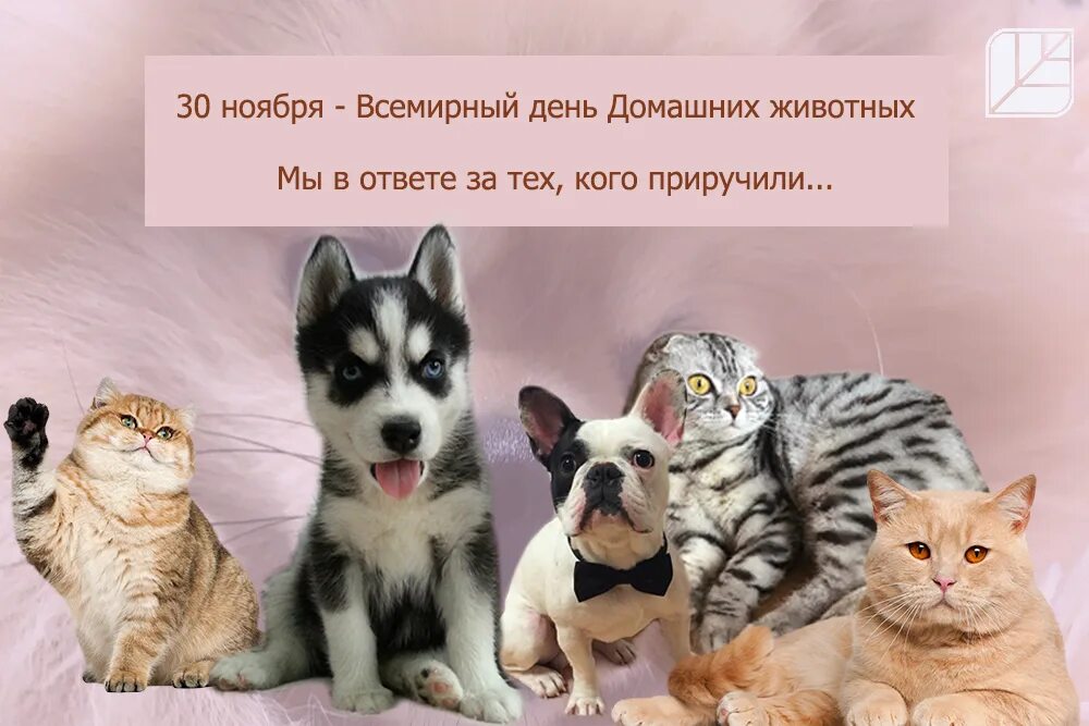 Картинка день домашних животных Поздравляем со Всемирным днем домашних животных