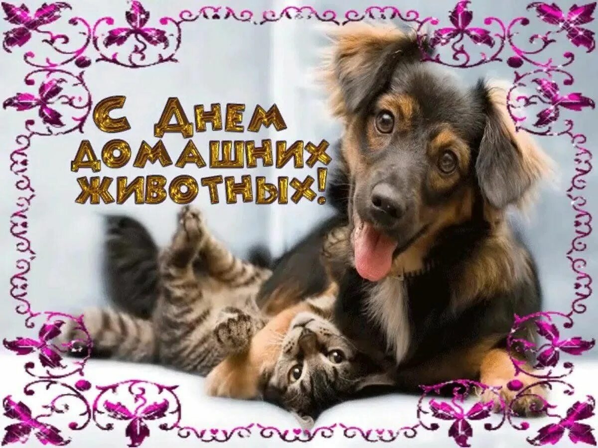 Картинка день домашних животных Меньшие братья - в семье доброта" 2023, Альшеевский район - дата и место проведе