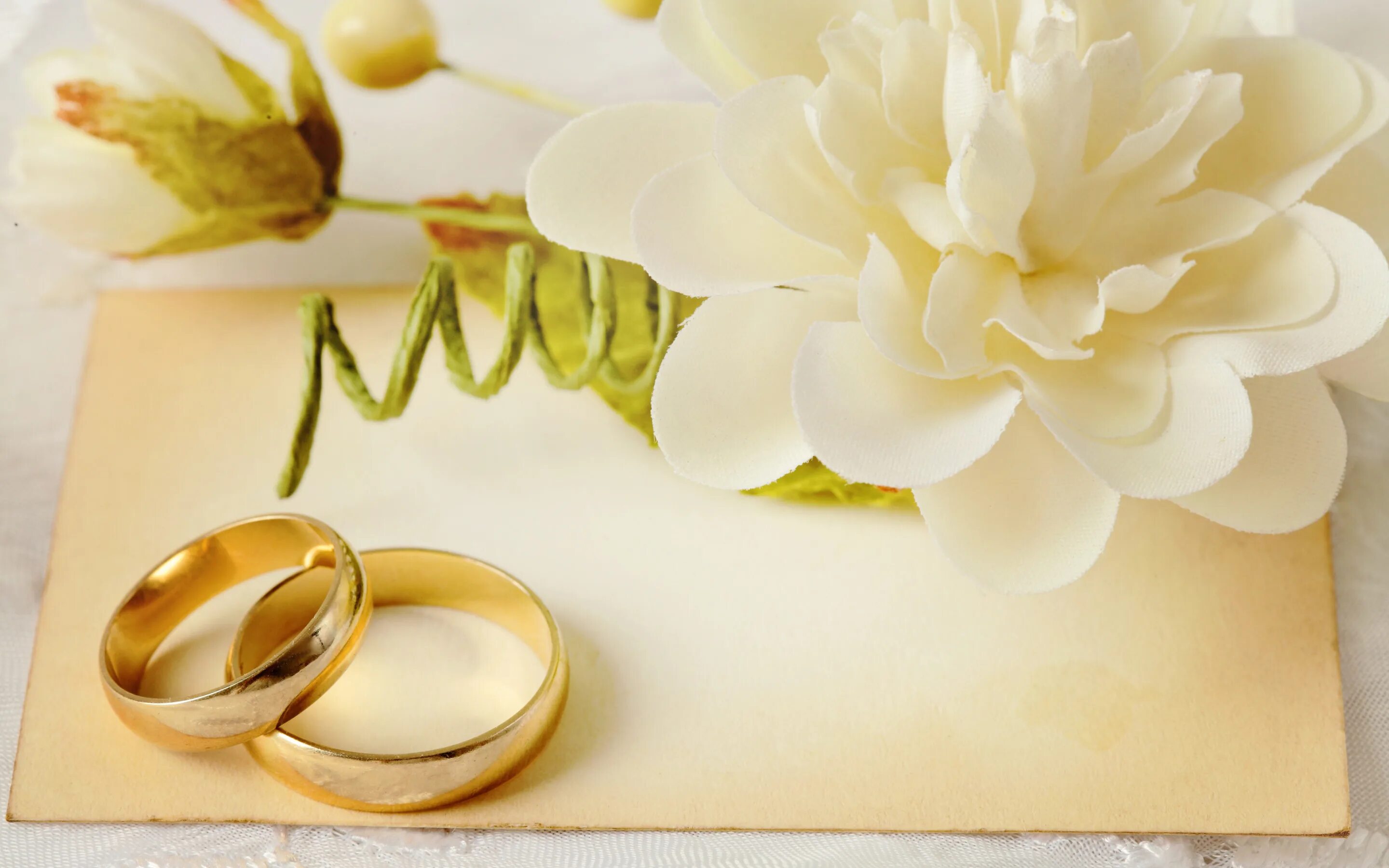 Картинка день свадьбы жене Скачать обои цветы, кольца, свадьба, flowers, background, ring, soft, wedding, р