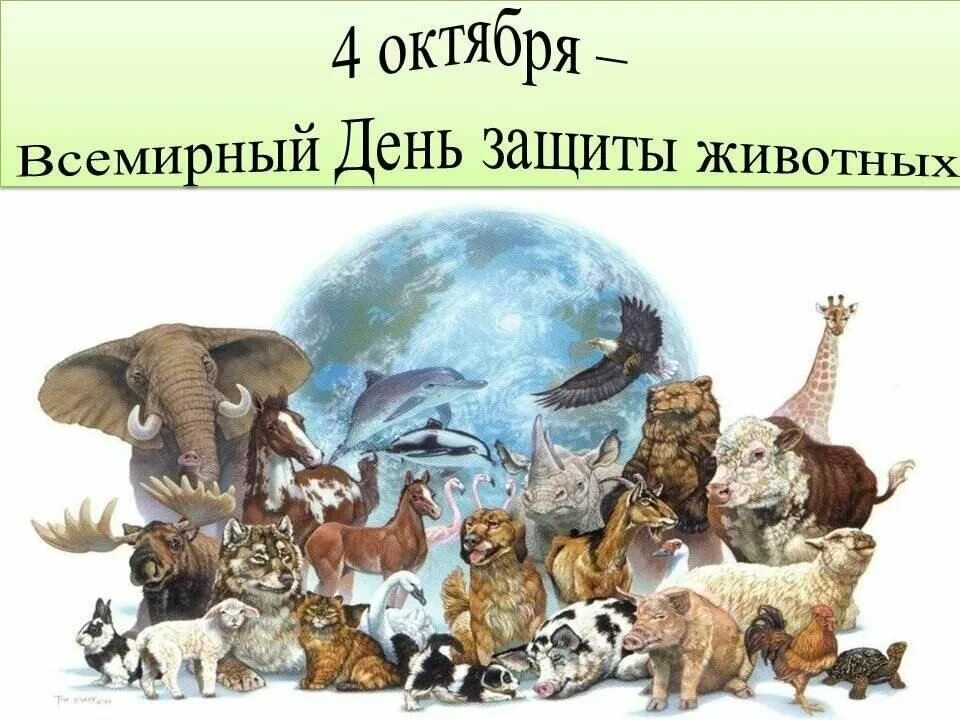 Картинка день защиты животных в детском Мир удивительных животных". 2022, Альметьевский район - дата и место проведения,