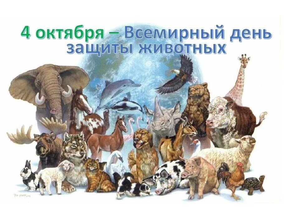 Картинка день защиты животных в детском Всемирный день защиты животных - Дом культуры "Радий"