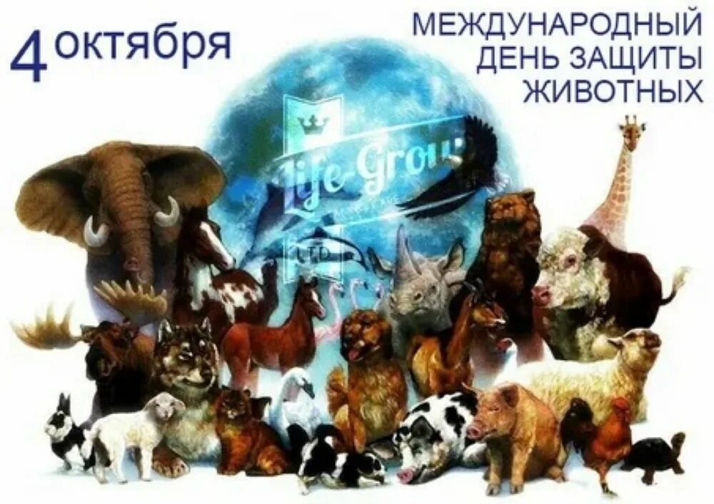 Картинка день защиты животных в детском Шацкая детская библиотека Новости