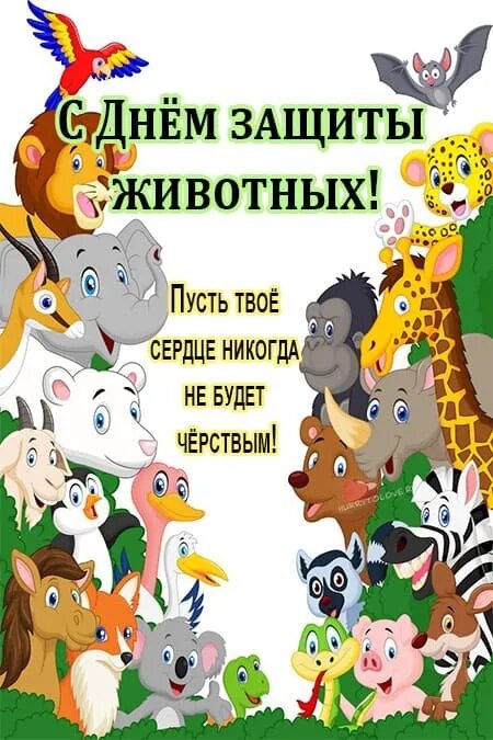 Картинка день защиты животных в детском Новости