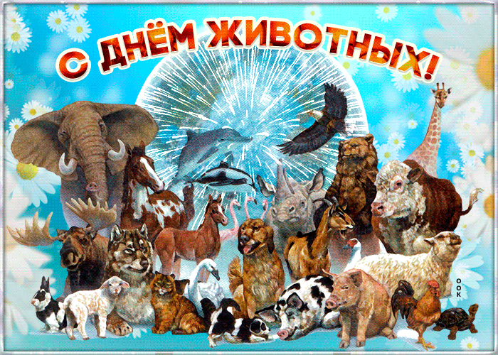 Картинка день защиты животных в детском Всемирный день защиты животных отметили в детском саду! - Официальный сайт детск