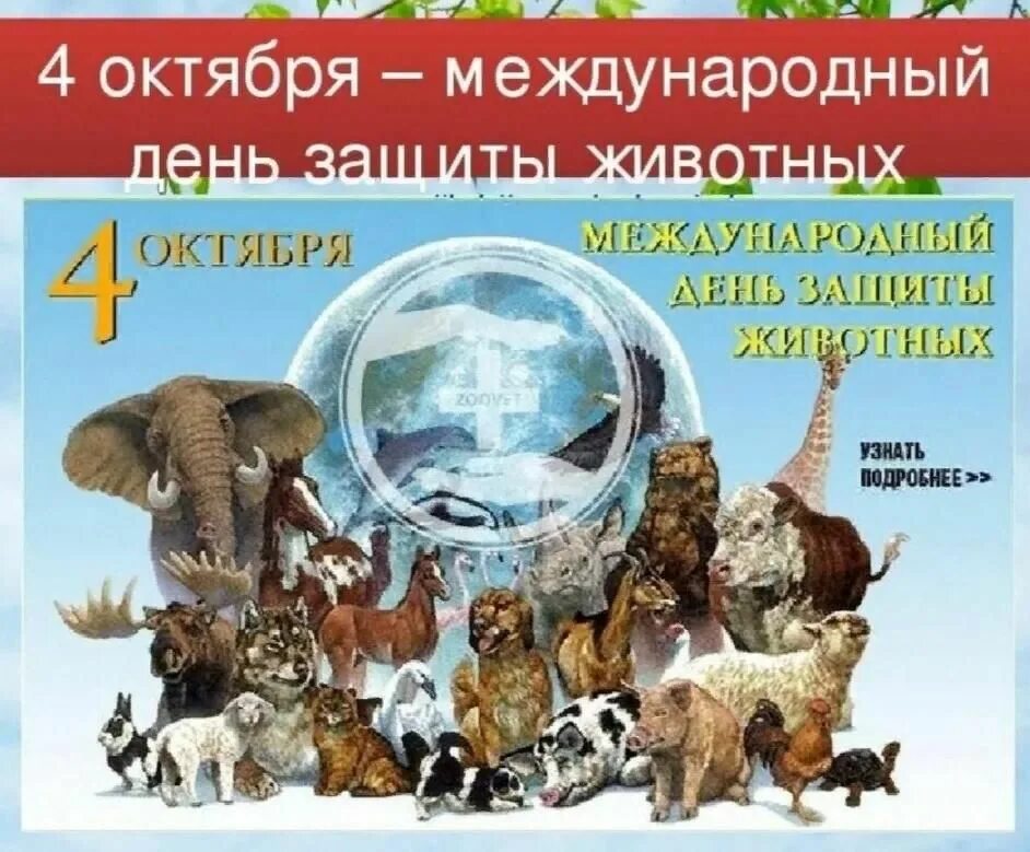 Картинка день защиты животных в детском Игра -викторина"Ребятам о зверятам" 2022, Лаишевский район - дата и место провед
