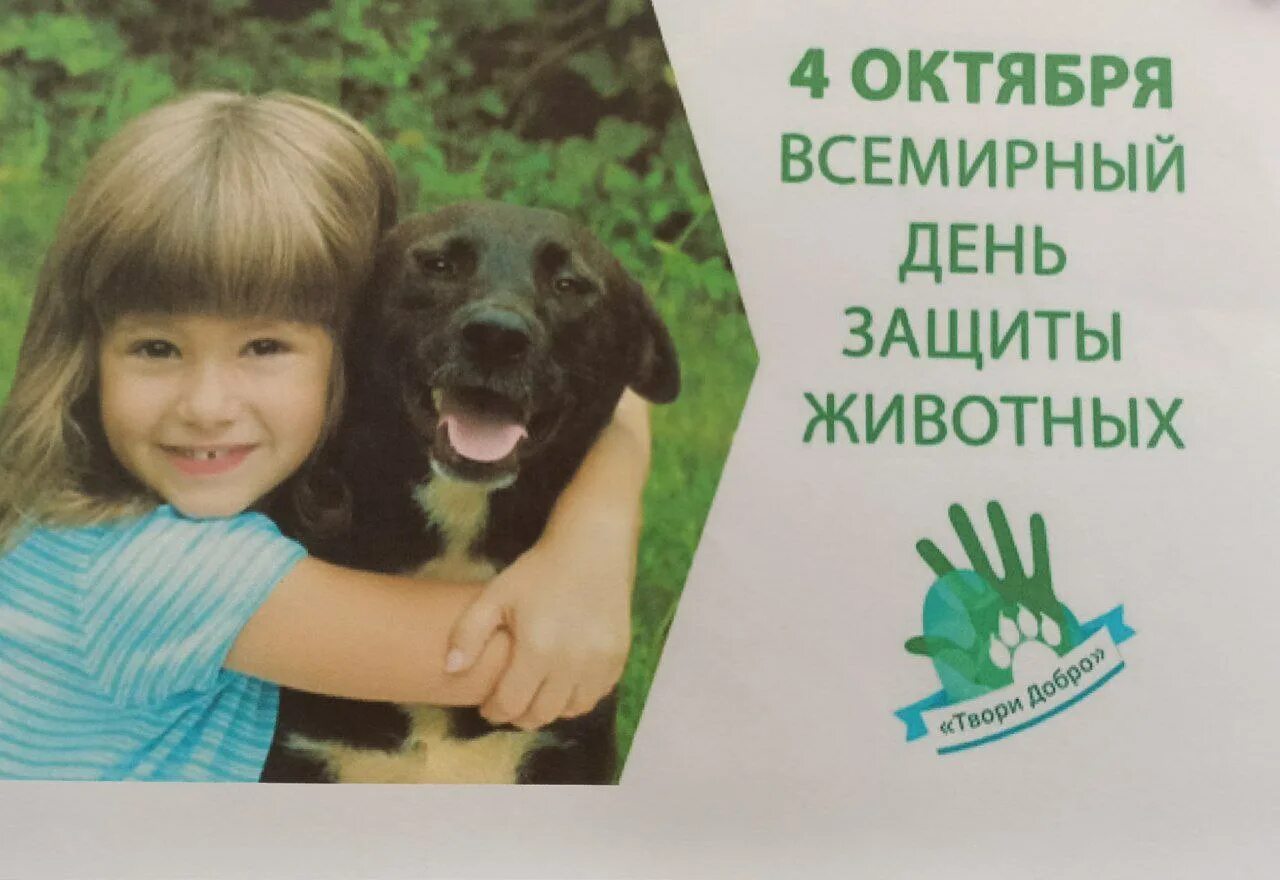 Картинка день защиты животных в детском саду Каждый год, 4 октября, весь мир празднует Международный день защиты животных! Му