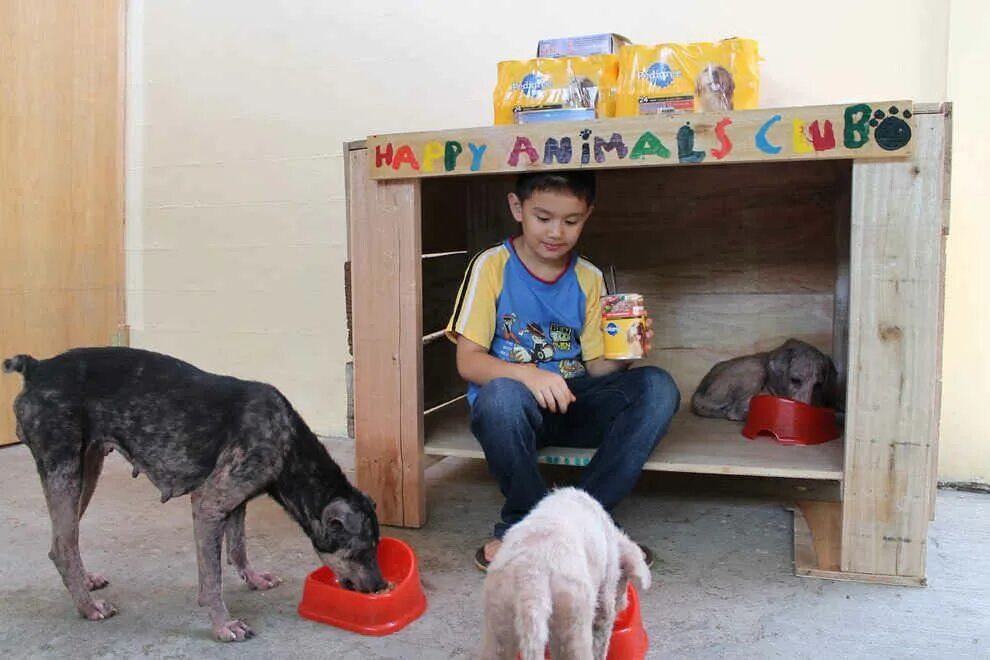Картинка дети помогают животным 31 Moments That Restored Our Faith In Humanity In 2014 No kill animal shelter, A