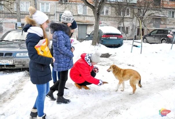 Картинка дети помогают животным RUIN HOMELESS ANIMALS ! Winter has come, winter frost will soon come, which forc