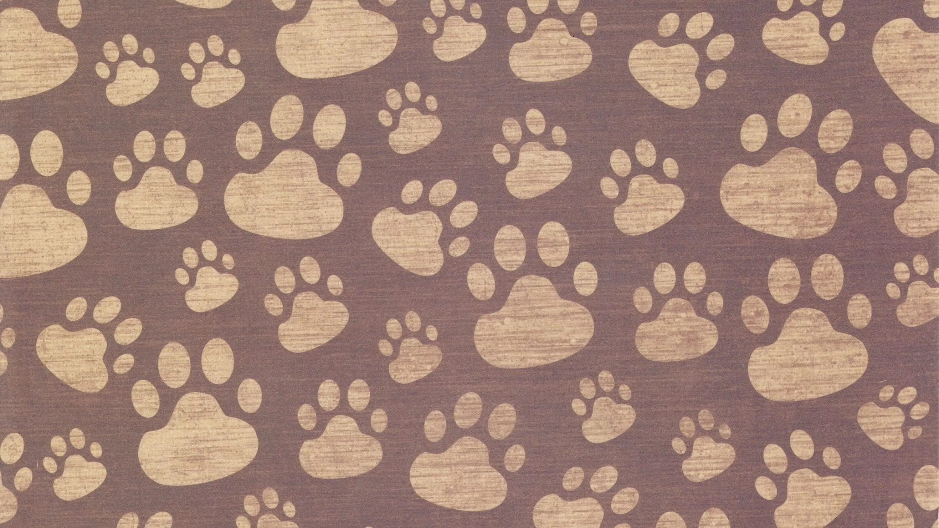 Картинка детская фон животные Пин на доске DOG AND CAT