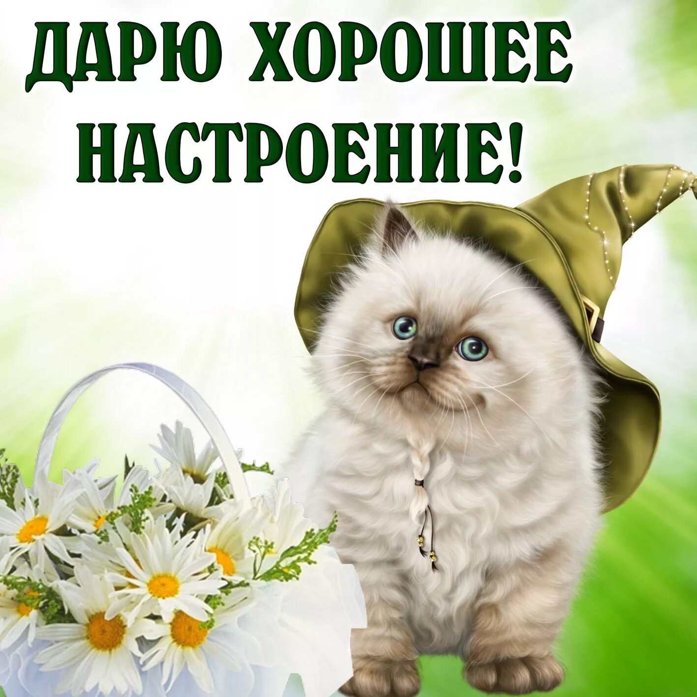 Картинка девушке хорошего дня и настроения Картинка хорошего настроения с пушистым котиком в шляпе
