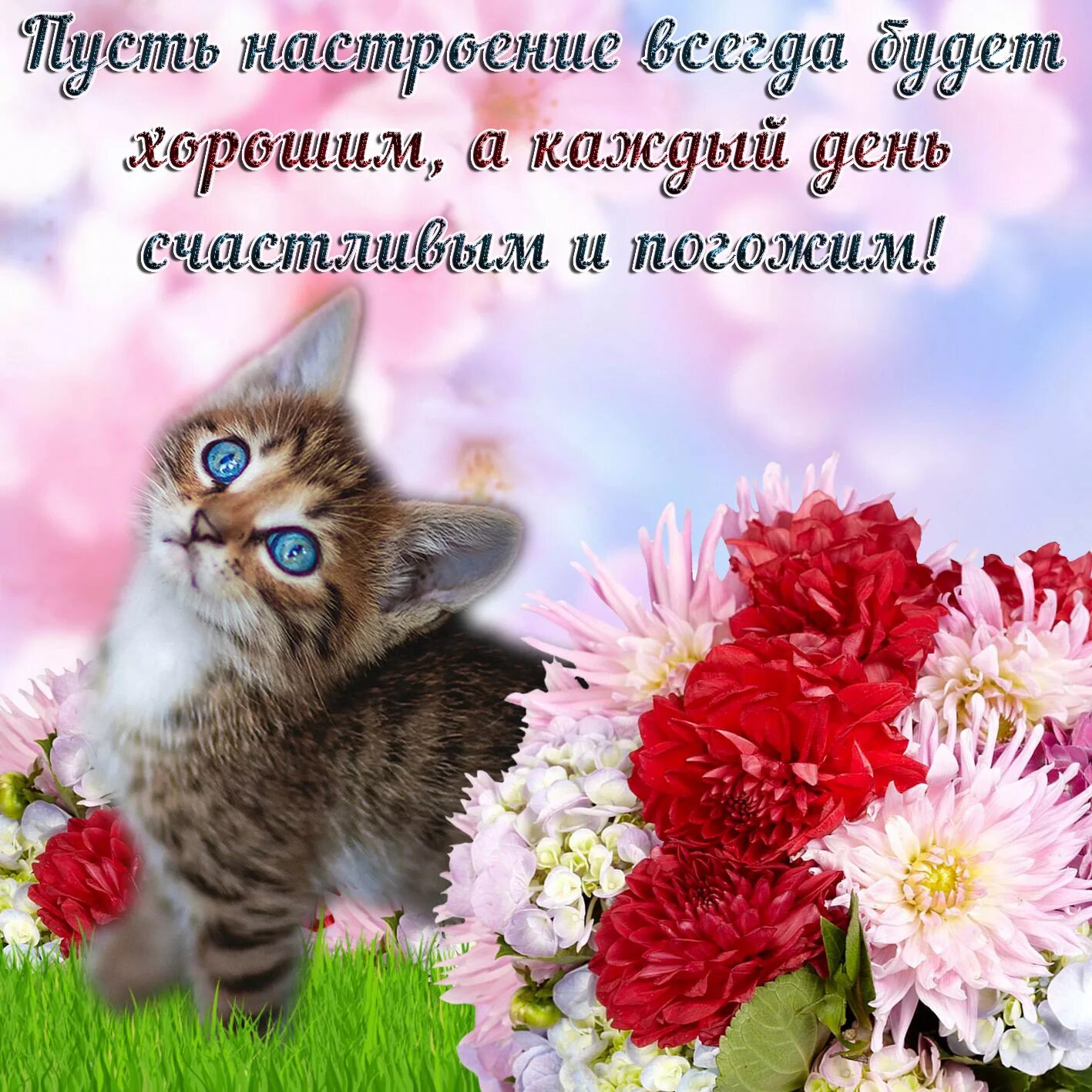 Картинка девушке хорошего дня и настроения Прекрасного дня картинки с наилучшими пожеланиями: найдено 85 изображений