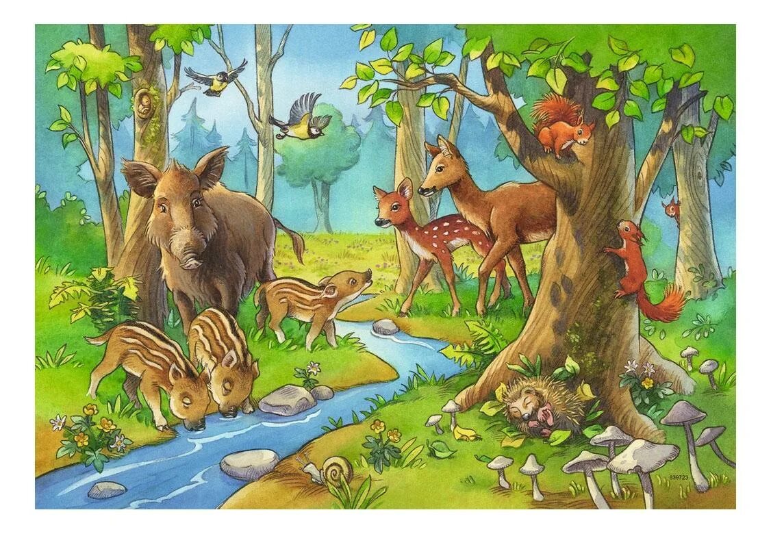 Картинка дикие животные в лесу Пазл Ravensburger 24 деталей - купить в Москве, цены в интернет-магазинах на Мег