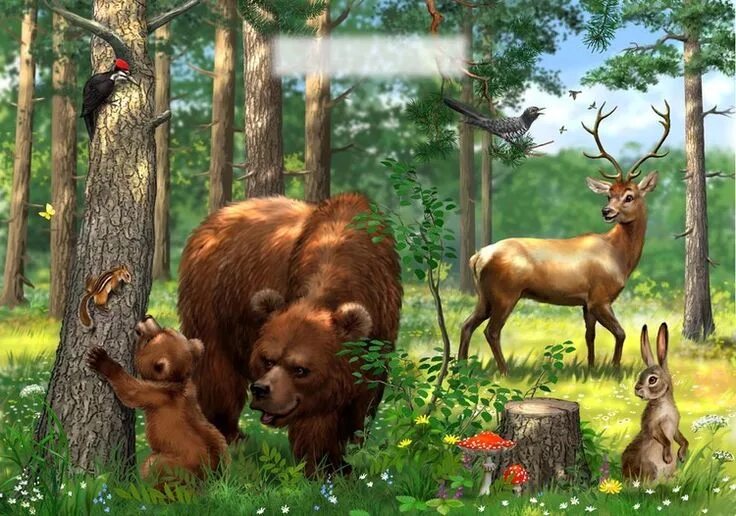 Картинка дикие животные в лесу Рина З. - На полянке Wildlife art, Illustration, Animal clipart