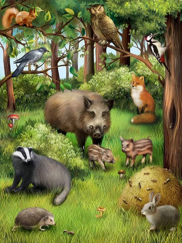 Картинка дикие животные в лесу Ebook: "Animals around the World" on Behance Animals, Animal paintings, Animal i