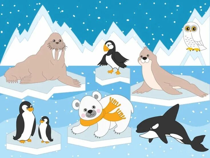 Картинка для детей северные животные Arctic Animals Clipart Digital Vector Arctic Winter Ice - Etsy