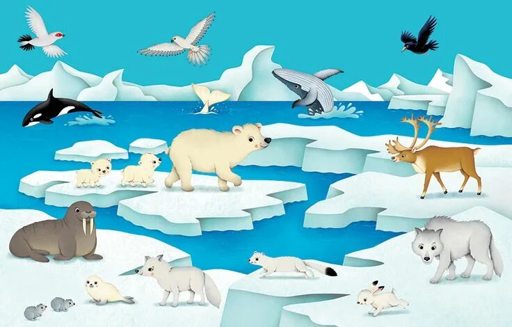 Картинка для детей северные животные Federica Iossa - Portfolio and Books Winter animal crafts, Classroom art project