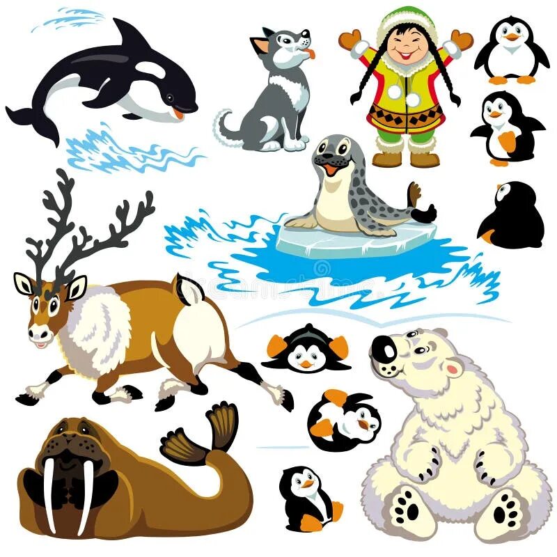Картинка для детей северные животные Cartoon arctic set stock vector. Illustration of animal - 35475760