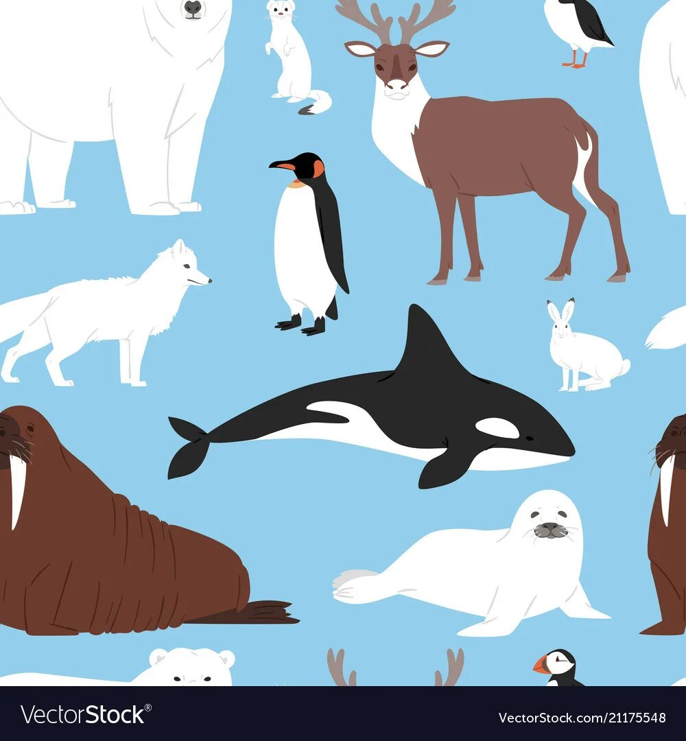 Картинка для детей северные животные Arctic animals cartoon polar bear Royalty Free Vector Image