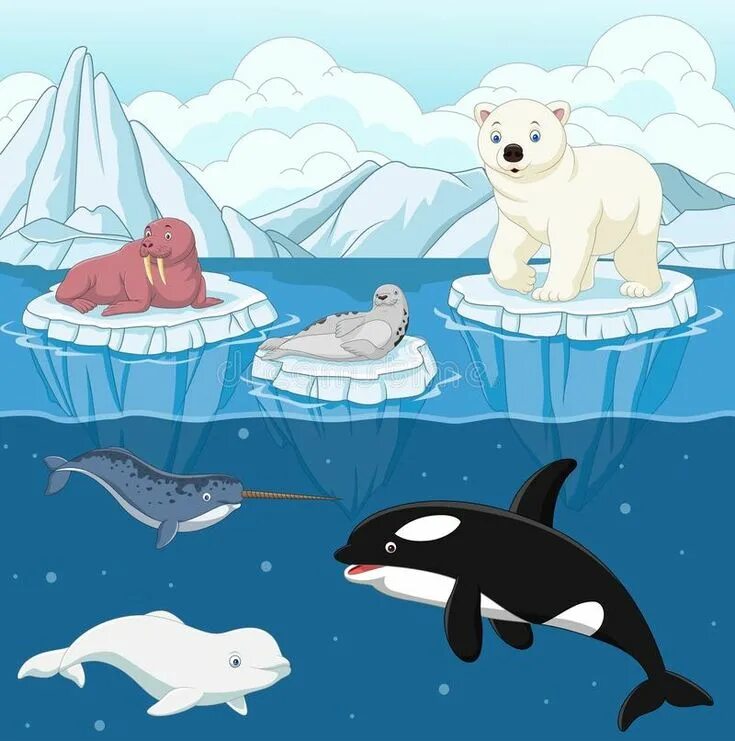 Картинка для детей северные животные Cartoon wild arctic animal on north pole vector illustration Северный полюс, Жив